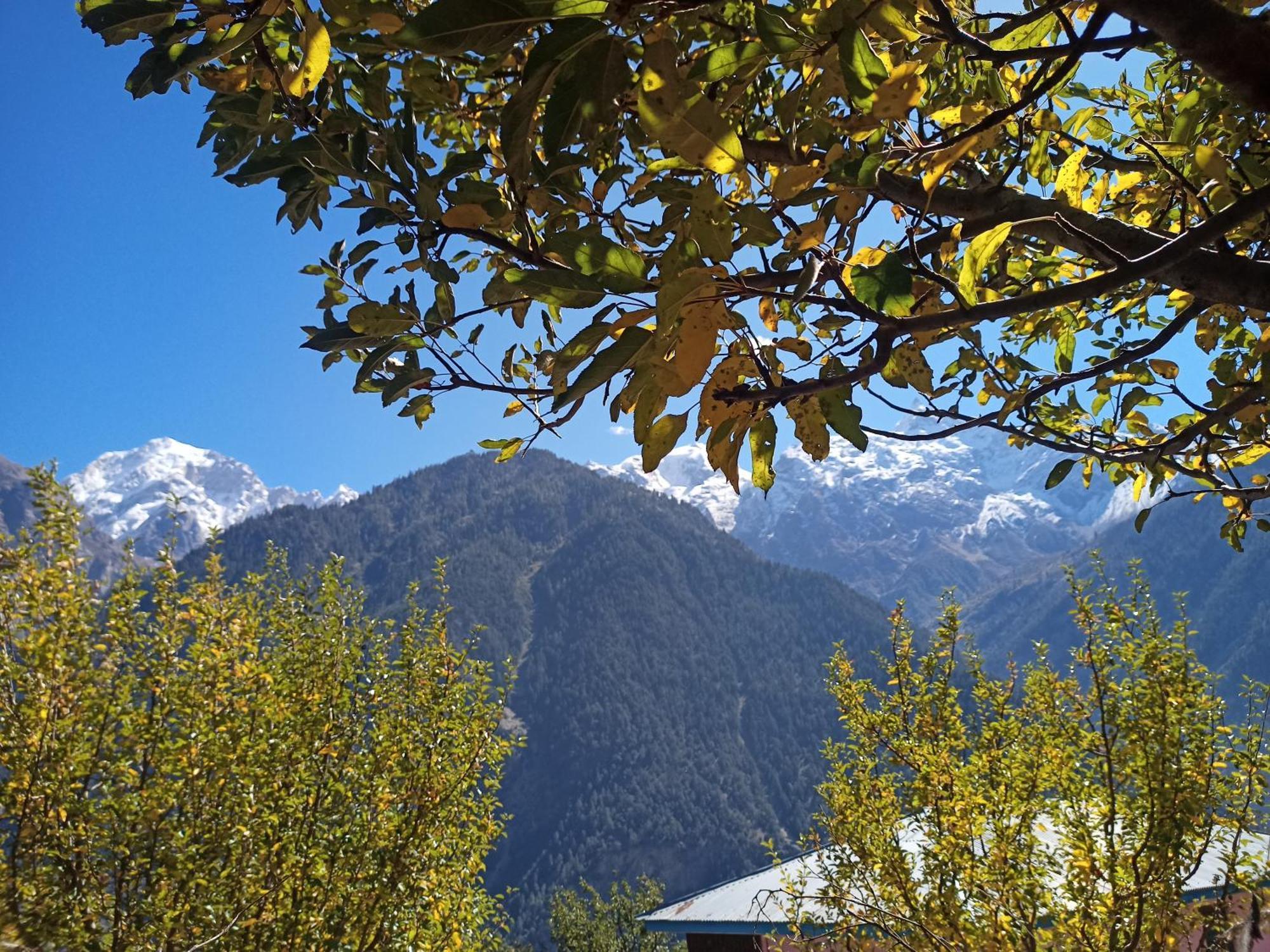 The Shudarang Inn Kalpa Exterior foto